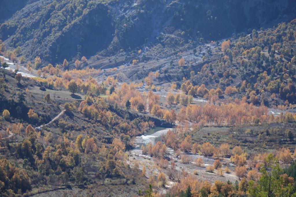St.Paul Yol Pansiyon Kasımlar Eksteriør billede