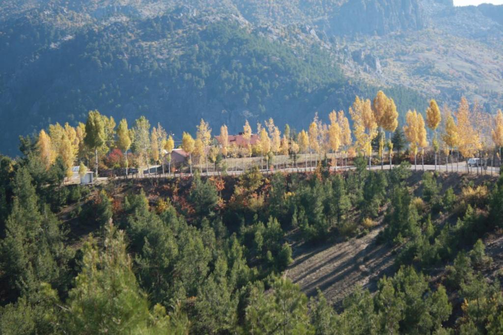 St.Paul Yol Pansiyon Kasımlar Eksteriør billede