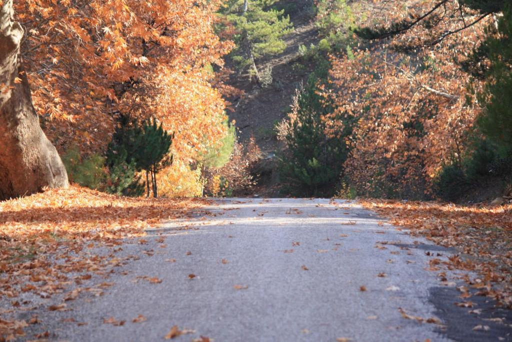 St.Paul Yol Pansiyon Kasımlar Eksteriør billede